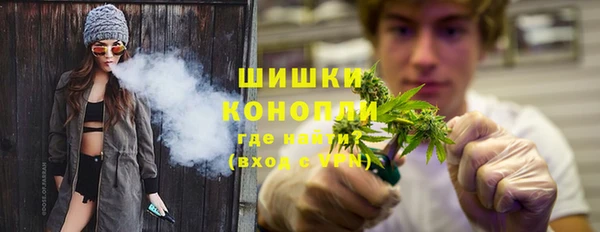 мдпв Верхний Тагил