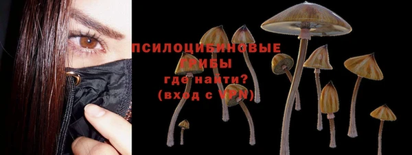 мдпв Верхний Тагил